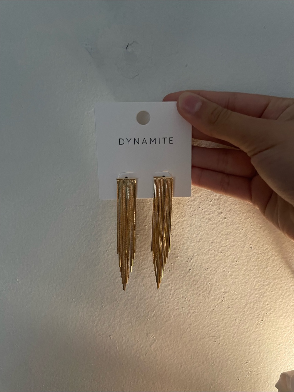 Dynamite FRINGE SNAKE CHAIN EARRINGS